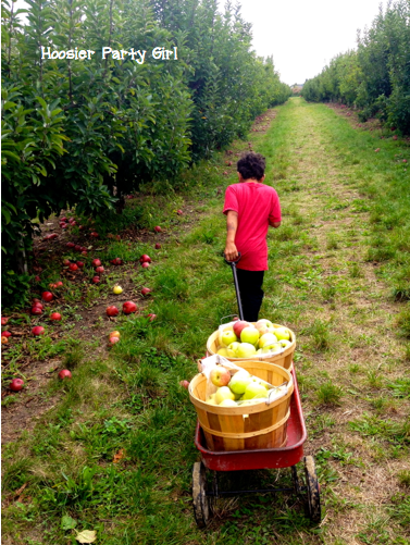 HPG picking apples